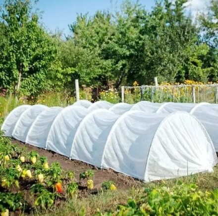 Ласкаво просимо до нашого інтернет-магазину