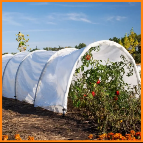 Новий стандарт вашого стилю