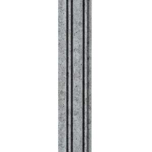 Рейка декоративна PS 2900х117х12мм Бетон SW-00002132
